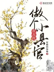 我在古代当官臣
