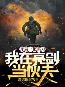 开局一把菜刀我在亮剑当伙夫TXT下载