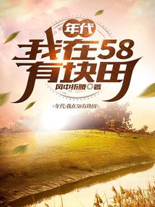 我在年代文里收废品格格党