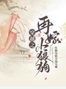 再嫁小夫郎 作者:sj姣儿