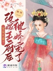 宠妾为后小说