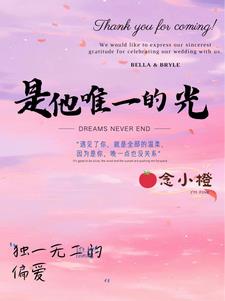 是他的唯一番茄小说