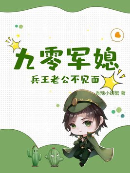 九零军婚文