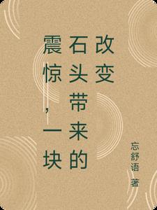一块石头引发的血案是什么电影