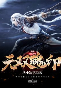 100级无双之魂加点