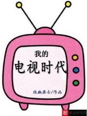 电视奔腾年代