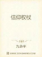 光明圣龙小说