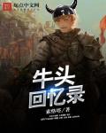 小说牛头