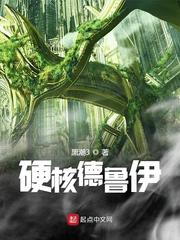 硬核玩家 小说