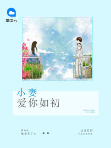 小妻娇宠