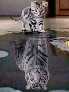 重生之远离前任gl小说