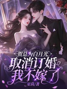 小说男主叫贺白