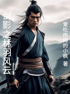 剑影之林羽风云小说阅读免费无弹窗