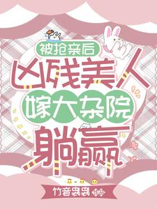 抢亲的小说