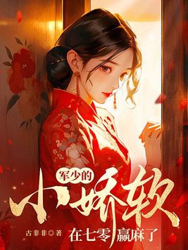 军婚甜蜜蜜我在七零年代赢麻了 严铮苏念小说