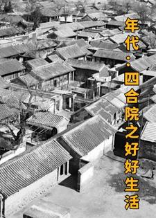 年代四合院之好好生活下载