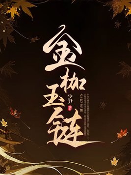 金枷小说txt