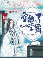 穿越了的学霸txt下载