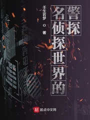 名侦探世界的警探小说