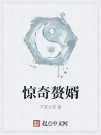 惊奇赘婿小说