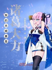 我的未婚妻是诸葛大力沈浪