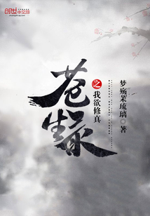 苍生录之我欲修真小说txt免费阅读