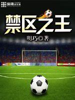 禁区之王范尼斯特鲁伊