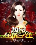 极品全能高手免费阅读全文最新