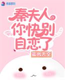 秦夫人t