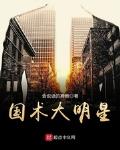 国术大明星南