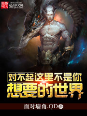 对不起我不是你要找的人英语